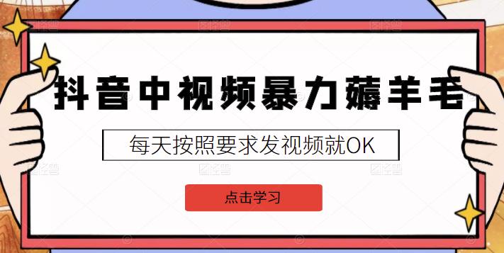 2022抖音中视频暴力薅羊毛白嫖项目：新号每天20块，老号几天几百块，可多号￼-乐码云集