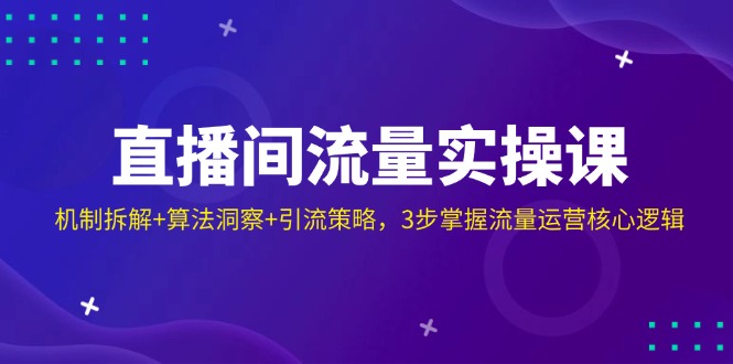 直播间流量实操课：机制拆解+算法洞察+引流策略，3步掌握流量运营核心逻辑-乐码云集