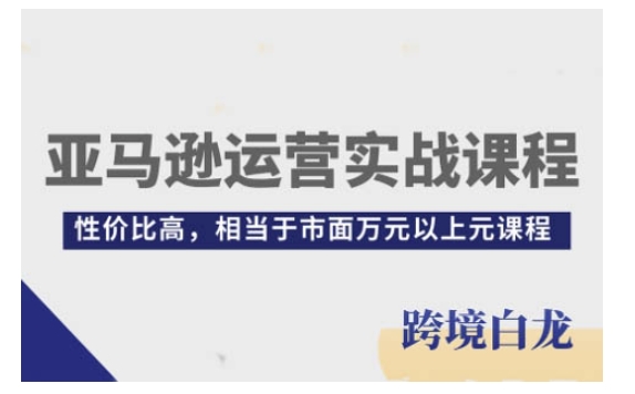 亚马逊运营实战课程，亚马逊从入门到精通，性价比高，相当于市面万元以上元课程-乐码云集