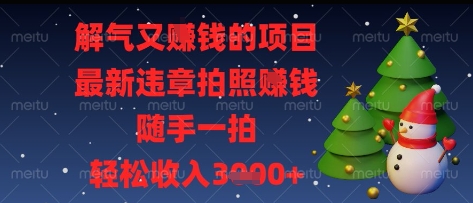 解气又挣钱的项目，最新违章拍照挣钱，随手一拍，轻松收入多张【揭秘】-乐码云集