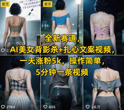 全新赛道，AI美女背影杀+扎心文案视频，一天涨粉5k，操作简单，5分钟一条视频-乐码云集