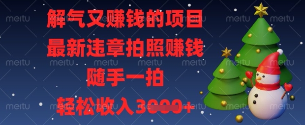 解气又挣钱的项目，最新违章拍照挣钱，随手一拍，轻松收入数张【揭秘】-乐码云集