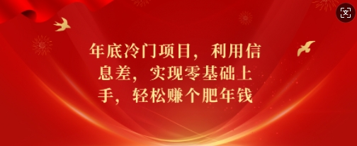 年底冷门项目，利用信息差，实现零基础上手，轻松赚个肥年钱【揭秘】-乐码云集
