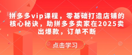 拼多多vip课程，零基础打造店铺的核心秘诀，助拼多多卖家在2025卖出爆款，订单不断-乐码云集