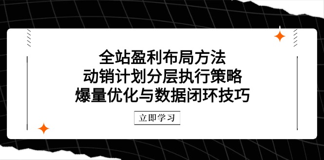 全站盈利布局方法：动销计划分层执行策略，爆量优化与数据闭环技巧-乐码云集