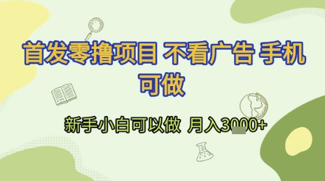 首发零撸项目 不看广告 手机可做 新手小白可以做  月入3k+【揭秘】-乐码云集