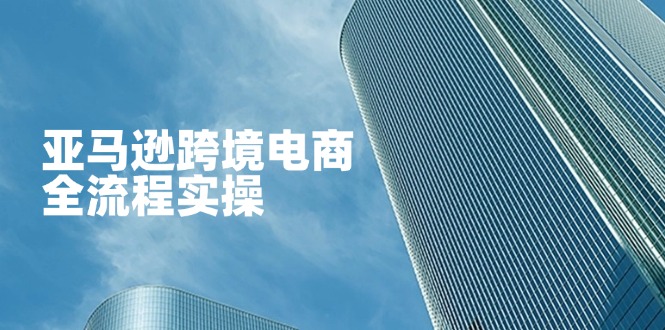 亚马逊跨境电商全流程实操，教你从零开始，掌握店铺运营与广告技巧-乐码云集