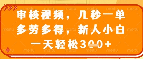 审核视频，几秒一单，多劳多得，新人小白一天轻松3张【揭秘】-乐码云集