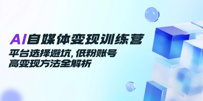 AI自媒体变现训练营，平台选择避坑，低粉账号高变现方法全解析-乐码云集