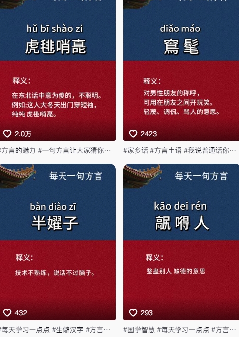 抖音最新涨粉玩法，图文方言暴力涨粉实操，126作品涨粉11W-乐码云集