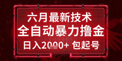 六月最新技术全自动暴力撸金，稳定日入2k+包起号，长期稳定【揭秘】-乐码云集