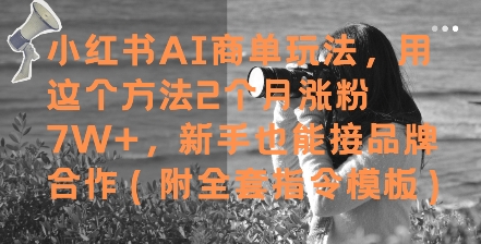 小红书AI商单玩法，用这个方法2个月涨粉7W+，新手也能接品牌合作(附全套指令模板)-乐码云集