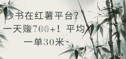 抄书在小红薯平台？平均一单30米，一天收益几张！-乐码云集