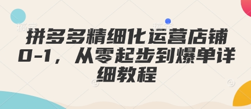 拼多多精细化运营店铺0-1，从零起步到爆单详细教程-乐码云集