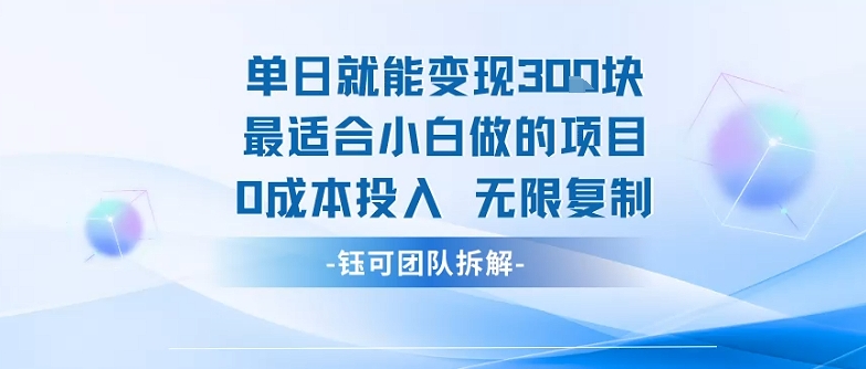 单日就能变现3张最适合小白做的项目0成本投入 无限复制-乐码云集