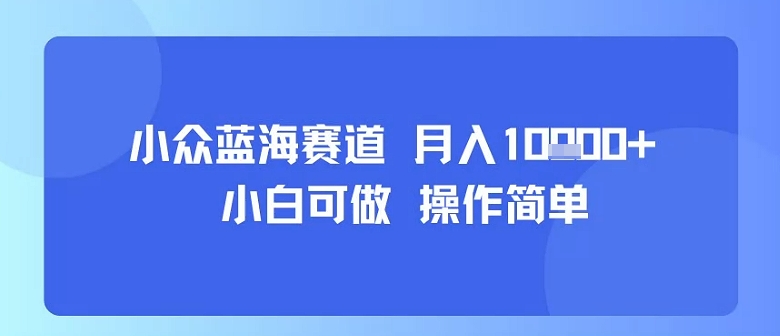 小众蓝海赛道，小白可做，操作简单，每天30分钟，月入1W+-乐码云集