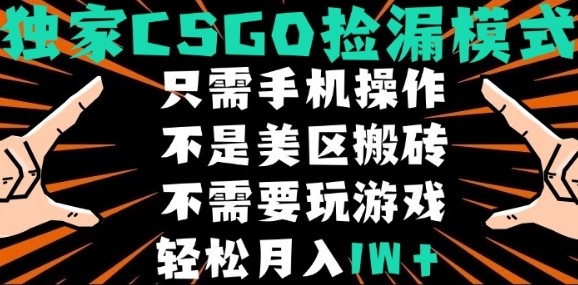 CSGO自动捡漏项目，最新独家玩法，不是美区搬砖，不需要了解和玩游戏，新手小白轻松月入1W+【揭秘】-乐码云集