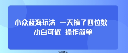 小众蓝海玩法 一天搞了四位数 小白可做 操作简单-乐码云集