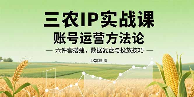 三农IP实战课：账号运营方法论，六件套搭建，数据复盘与投放技巧-乐码云集