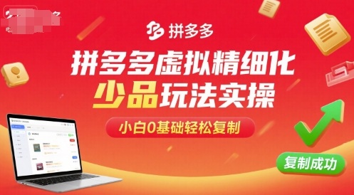 拼多多虚拟精细化少品玩法实操，小白0基础轻松复制-乐码云集