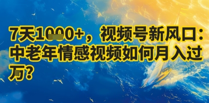 7天收益1k+，视频号新风口：中老年情感视频如何月入过W?-乐码云集