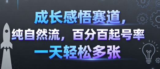 成长感悟赛道，纯自然流，百分百起号率 一天轻松多张-乐码云集