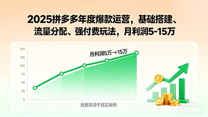 2025拼多多年度爆款运营，基础搭建、流量分配、强付费玩法，月利润5-15万-乐码云集
