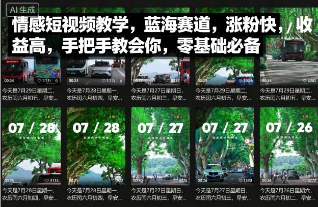 情感短视频教学，蓝海赛道，涨粉快，收益高，手把手教会你，零基础必备-乐码云集