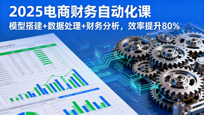 2025电商财务自动化课，模型搭建+数据处理+财务分析，效率提升80%-乐码云集