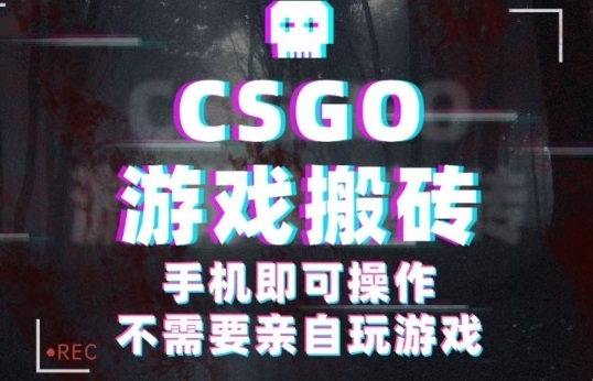 CSGO游戏挂G捡漏，单日扫货5张+，年底小高峰上车可吃肉，手机即可操作，兼职副业创业网创【揭秘】-乐码云集