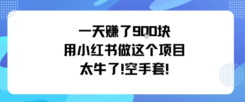 一天挣了9张用小红书做这个项目太牛了，空手套-乐码云集