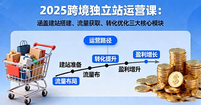 2025跨境独立站运营课：涵盖建站搭建、流量获取、转化优化三大核心模块-乐码云集