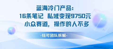 蓝海项目：16条笔记私域变现9750米小众赛道操作的人不多-乐码云集