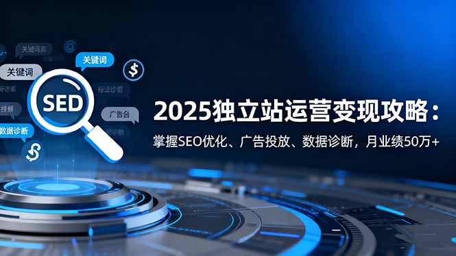 2025独立站运营变现攻略：掌握SEO优化、广告投放、数据诊断，月业绩50万+-乐码云集