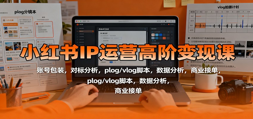 小红书IP运营高阶变现课：账号包装，对标分析，plog/vlog脚本，数据分析，商业接单-乐码云集