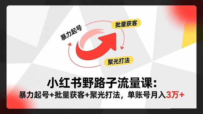 小红书野路子流量课：暴力起号+批量获客+聚光打法，单账号月入3万+-乐码云集