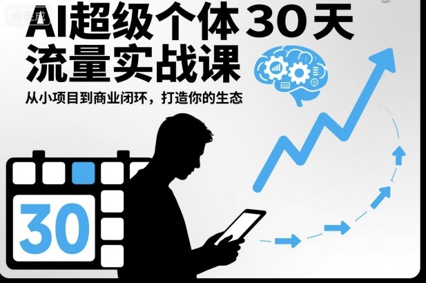 AI超级个体30天流量实战课，从小项目到商业闭环，打造你的生态-乐码云集