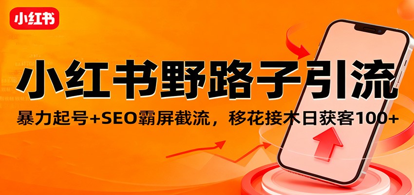小红书野路子引流，暴力起号+SEO霸屏截流，移花接木日获客100+-乐码云集