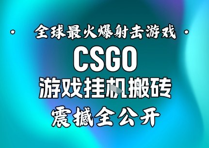 【年底大揭秘】基于全球最火爆的射击CSGO游戏挂G搬砖，日入5张+，震撼公开-乐码云集