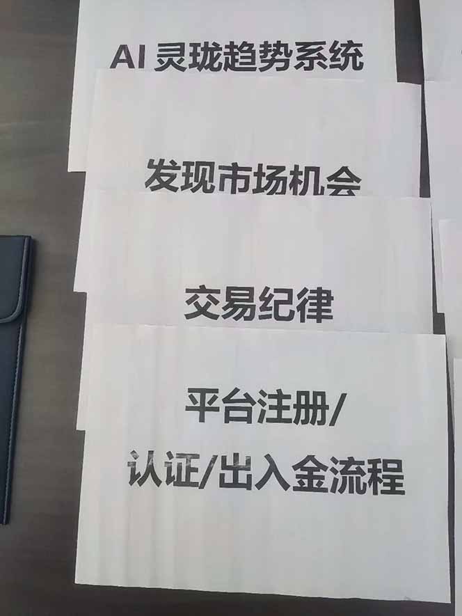 图片[3]-海外美金AI掘金项目，200U可入门槛，一天一单即可，每天1000-2000很轻松！-乐码云集