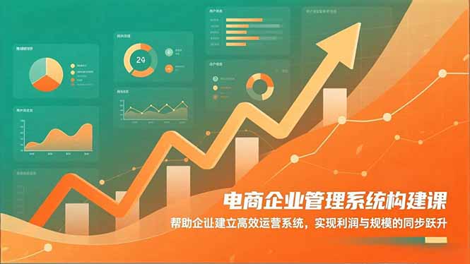 电商企业管理系统构建课：帮助企业建立高效运营系统，实现利润与规模的同步跃升-乐码云集