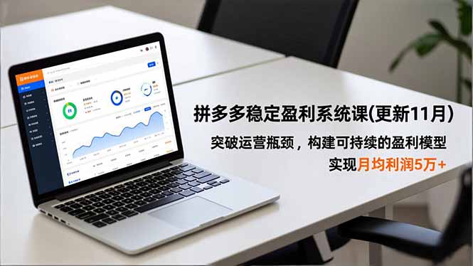 拼多多稳定盈利系统课(更新11月-乐码云集