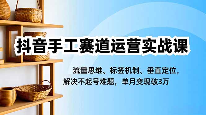 抖音手工赛道运营实战课，流量思维、标签机制、垂直定位，解决不起号难题，单月变现破3万-乐码云集