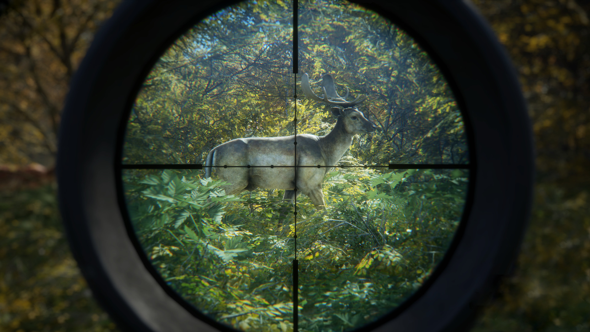 《猎人：荒野的召唤/theHunter: Call of the Wild》PC中文版下载-含v3101875-乐码云集