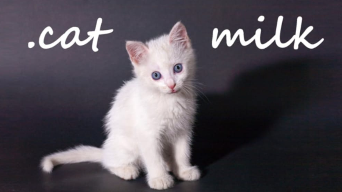 《小奶猫 .cat Milk》Switch英文版NSP下载-乐码云集