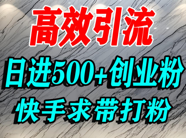 怎么打创业粉？快手求带视角精准引流创业粉，宝妈、学生群体日进500+精准流量-乐码云集