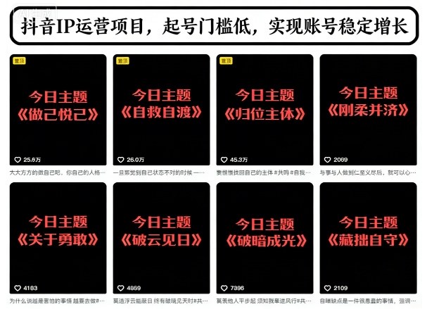 抖音IP运营项目，抖音今日主题玩法，起号门槛低，实现账号稳定增长-乐码云集
