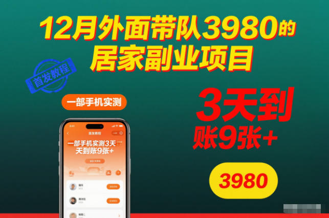 12月外面带队3980的居家副业项目，一部手机实测3天到账9张+，首发教程【揭秘】-乐码云集