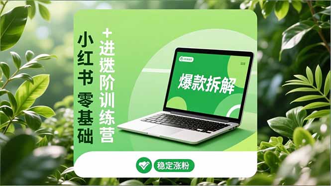 小红书零基础+高阶训练营：安全养号、爆款拆解、长效运营，实现稳定涨粉与变现-乐码云集