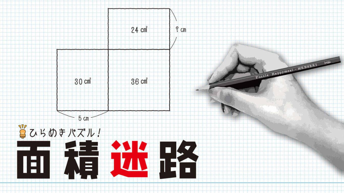 《闪烁的拼图 面积迷宫 MENSEKI Area maze puzzles》Switch英日文版NSZ下载-乐码云集